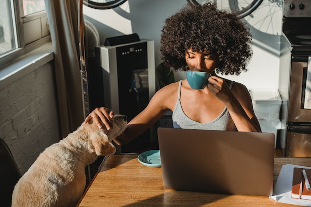 Person at their computer drinking out of a mug and petting a dog